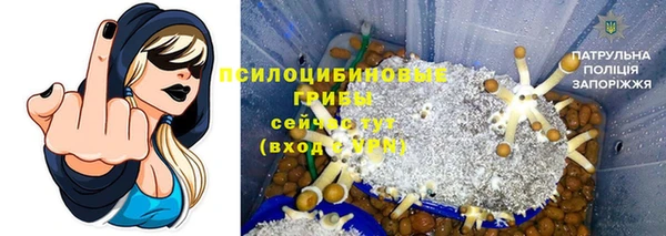 наркотики Алексин