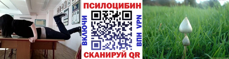 гидра ссылка  Пустошка  Галлюциногенные грибы прущие грибы 